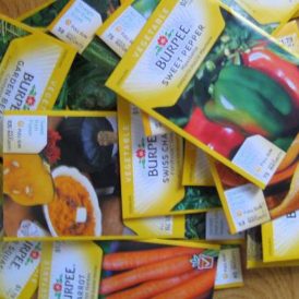 Simple Ways to Stash Some Cash Image